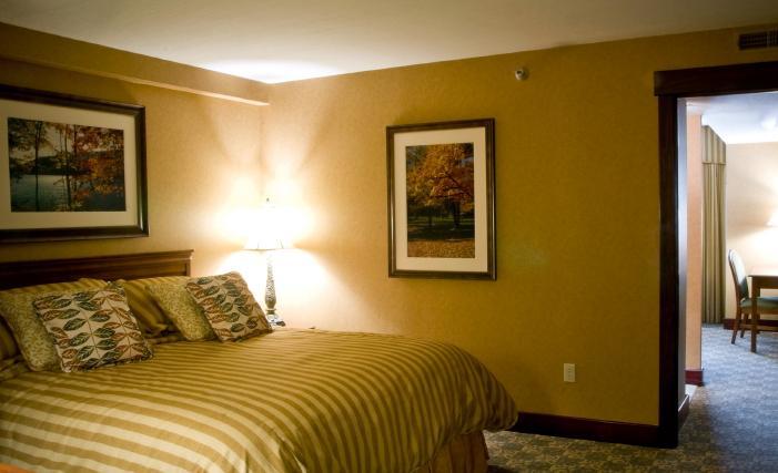 Wisp Resort Hotel And Conference Center 맥헨리 외부 사진